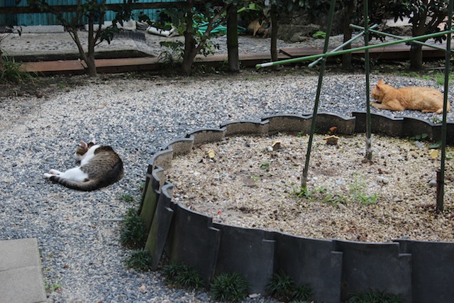 c0306400_065441.jpg