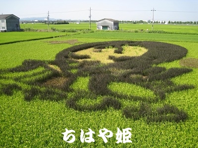 d0090001_2052457.jpg
