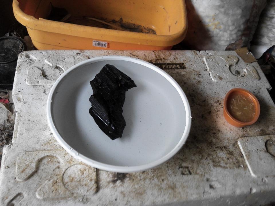 a0318802_945143.jpg