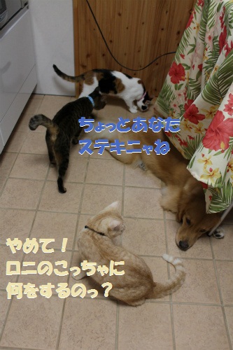 e0072606_14445736.jpg