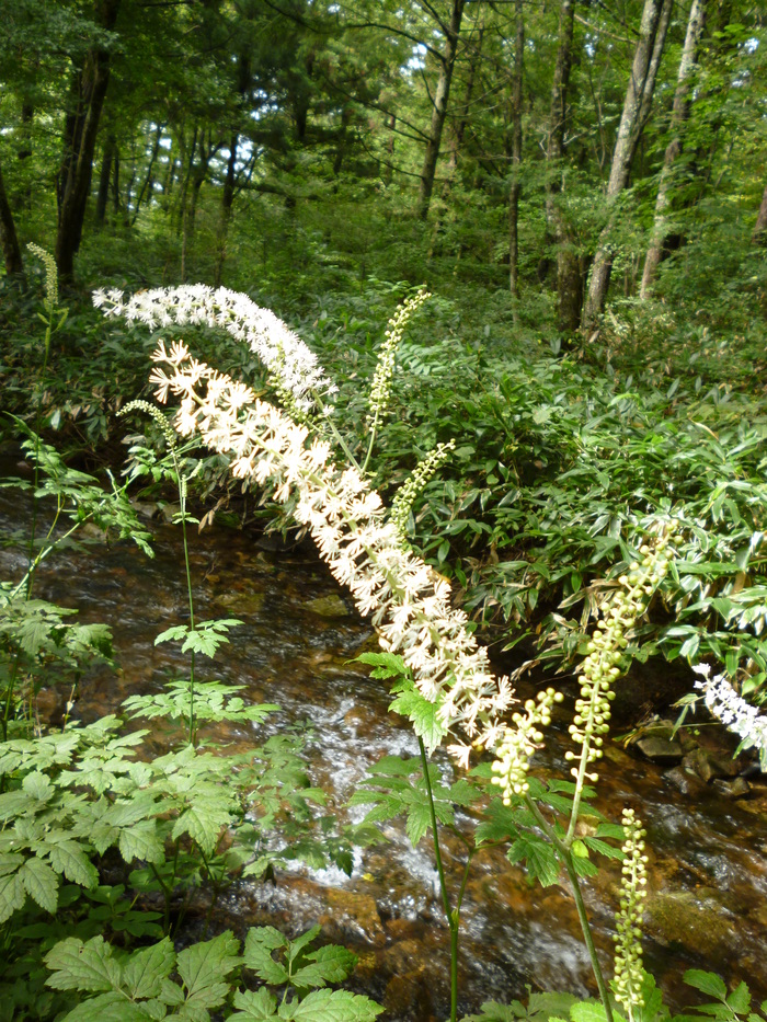 f0219710_16542883.jpg