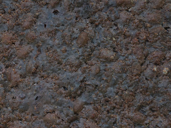 e0112213_1935166.jpg