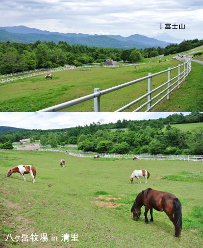 清里 kiyosato in 山梨県_e0099614_22410100.jpg