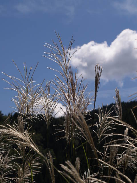 e0256122_16303120.jpg