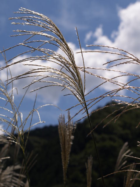 e0256122_16323315.jpg