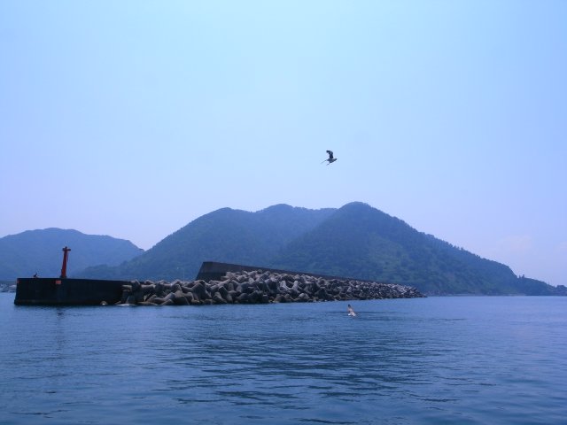 浦富海岸　島めぐり遊覧船_f0209122_13174688.jpg