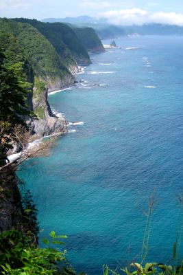 e0133025_20533824.jpg