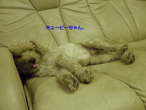 c0136736_19385025.gif