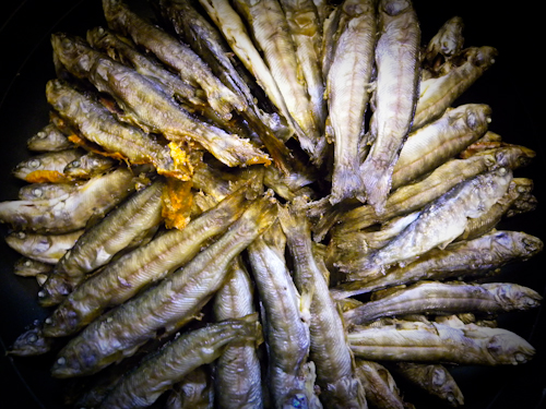 岩魚の稚魚_c0176838_2247050.jpg