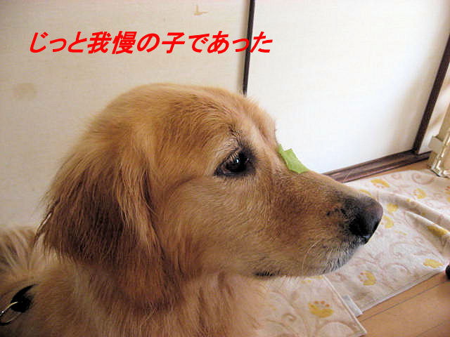 a0149240_19373025.jpg