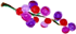 b0129140_15401976.gif