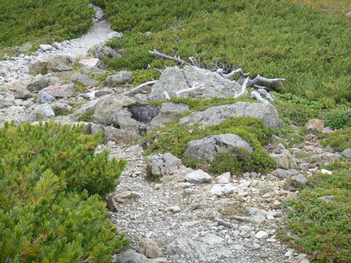 b0170644_21262578.jpg