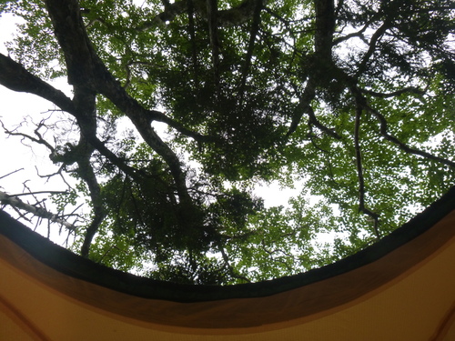 b0170644_21332836.jpg