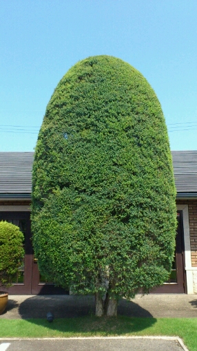 f0229844_22173115.jpg