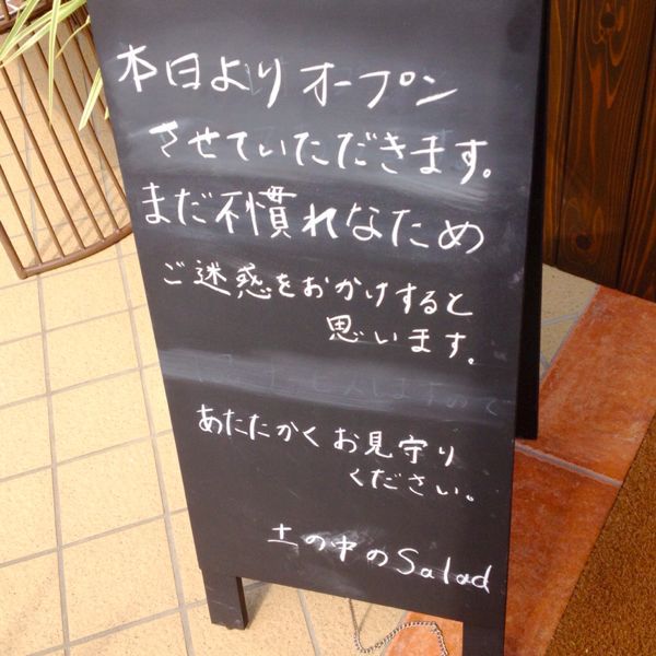 野菜のBistro 土の中のSalad_e0292546_2350214.jpg