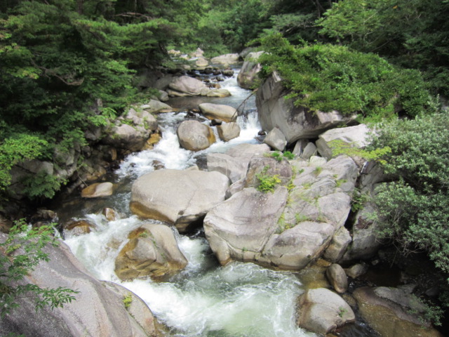 c0220154_1333999.jpg