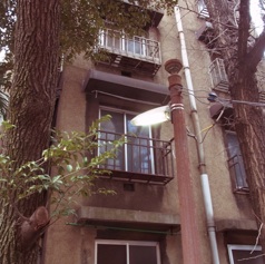 b0087556_23434257.jpg