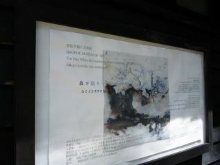 カミイケタクヤ個展「森が崩れた日」_c0227958_16555293.jpg