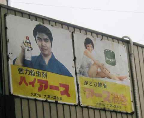 【伊東温泉・器量よしの猫だらけ】_c0042960_16122929.jpg