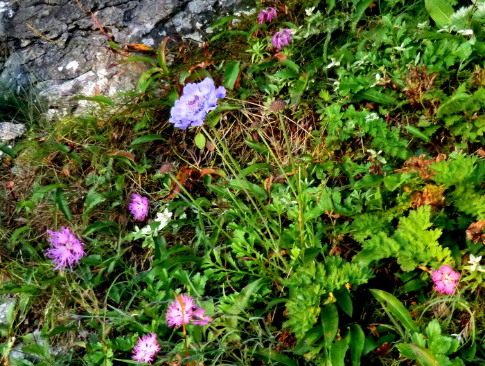 b0185573_20233650.jpg