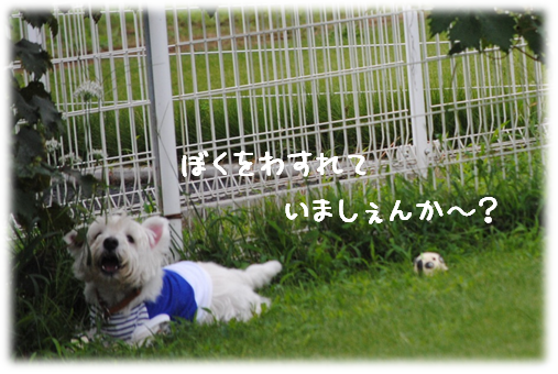 b0242873_2284823.png