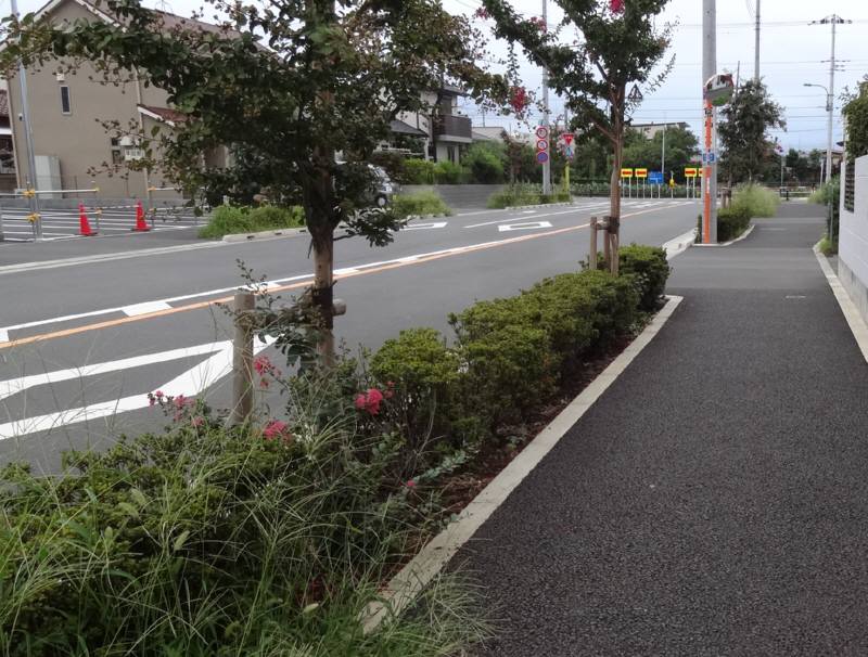 緑の管理_f0059673_6183479.jpg