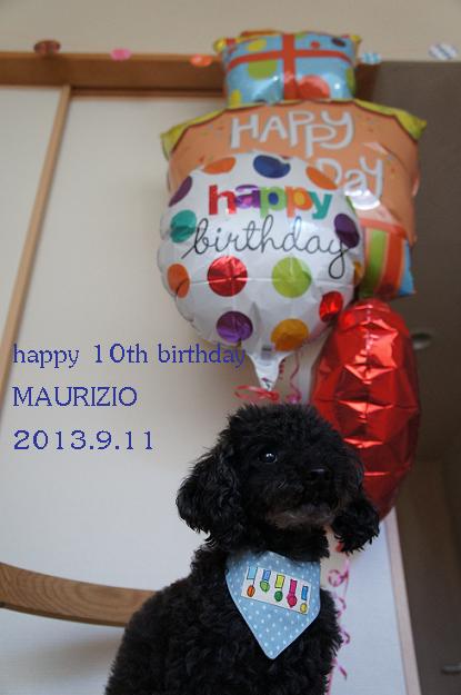 MAURI祝10歳☆_b0032175_23471291.jpg