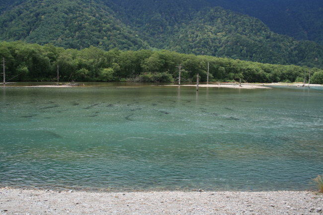 上高地旅行 〜大正池から河童橋〜_c0261178_21554157.jpg