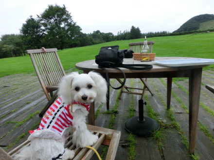 ２０１３　夏の北海道　そのはち_b0193480_141087.jpg