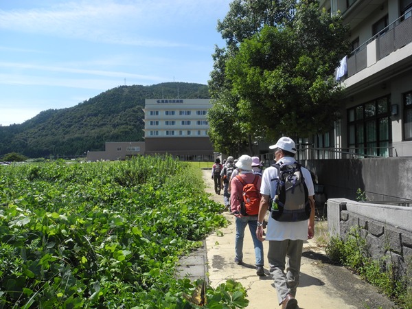 琵琶湖一周ウォーク　萩の浜水泳場→ＪＲ志賀駅　⑭_d0074683_16424411.jpg