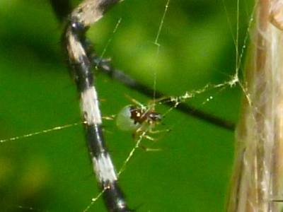 d0240983_23184610.jpg