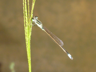 d0240983_23304543.jpg