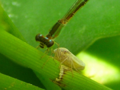 d0240983_2355079.jpg
