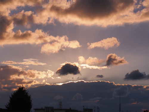 f0209785_1143467.jpg
