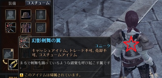 PSO2の次はRaiderZまでも・・・_f0198787_10545490.jpg