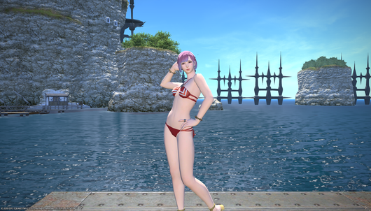 b0296791_14125165.png