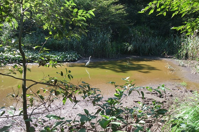 e0070891_1937393.jpg