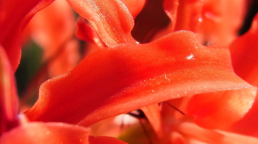 a0152692_18113125.jpg