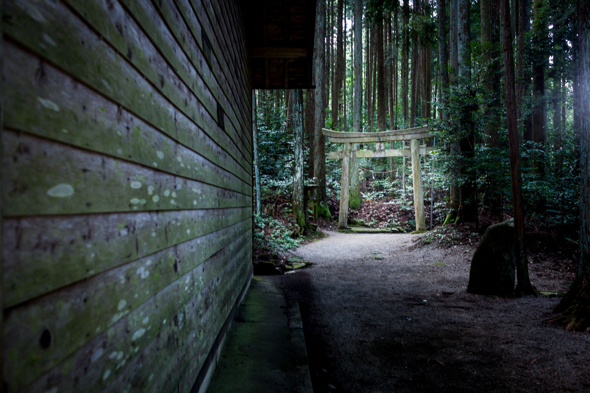 諏訪神社_b0126495_20512766.jpg