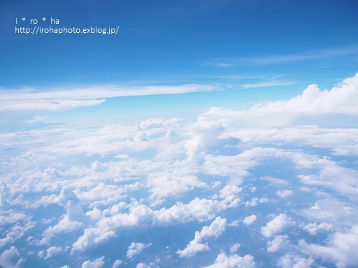 a0152596_21144385.jpg