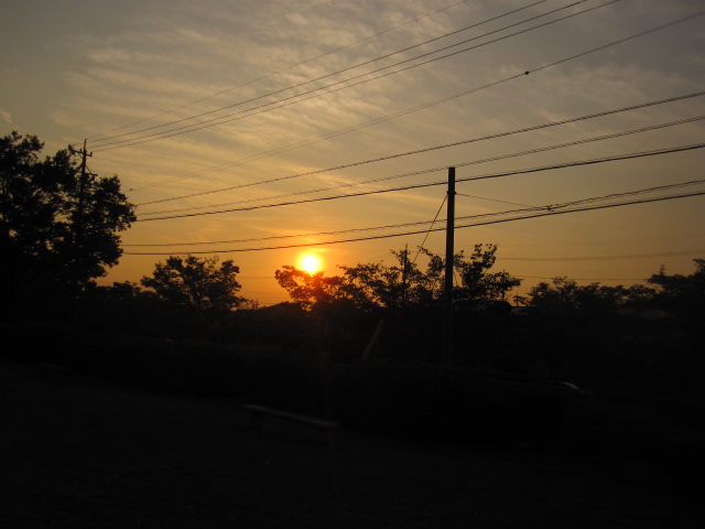 a0145798_19273247.jpg