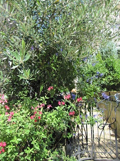 c0152002_16473793.jpg