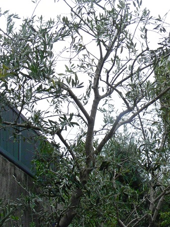 c0152002_1648230.jpg