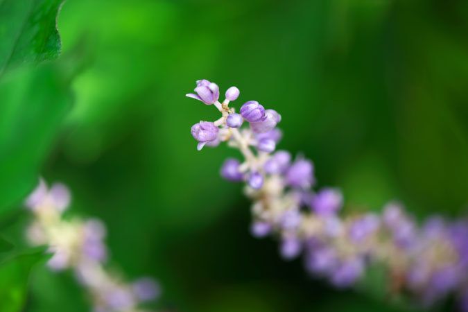 a0263109_13415034.jpg
