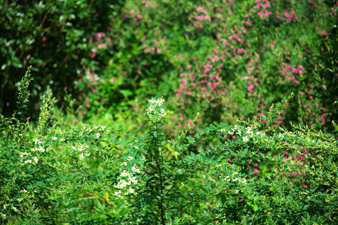 a0263109_1341573.jpg