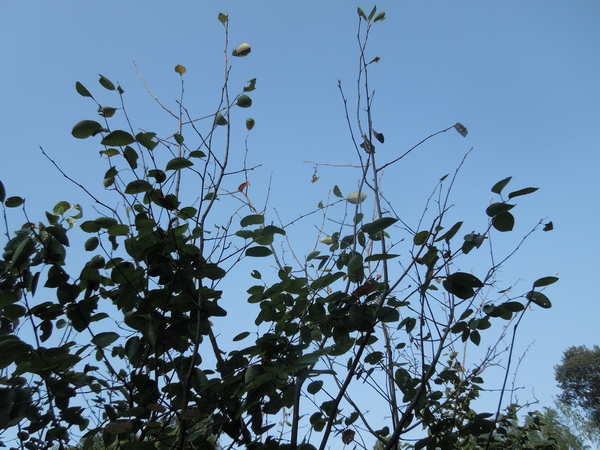 f0297809_164656.jpg