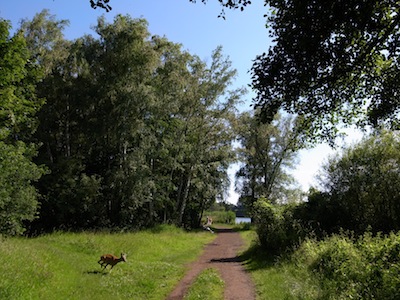 e0038811_8282049.jpg