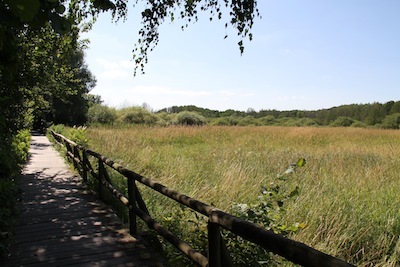 e0038811_85236.jpg