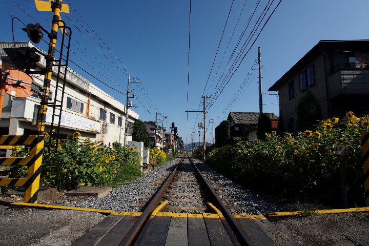 a0268412_22312728.jpg