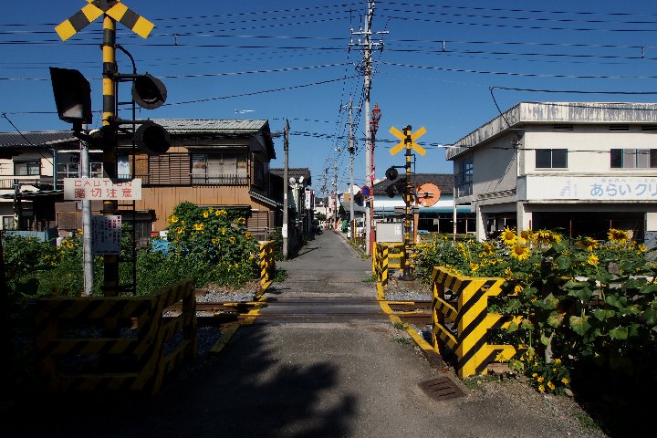 a0268412_22313465.jpg